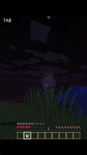 Minecraft: High Altitude Water Bucket Save