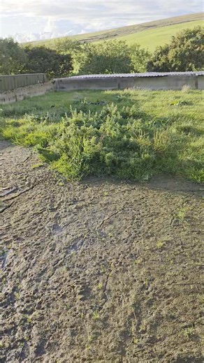 35K views · 320 reactions | What is a slurry lagoon? Did you know? | Lancashire Lamb Boxes | Facebook