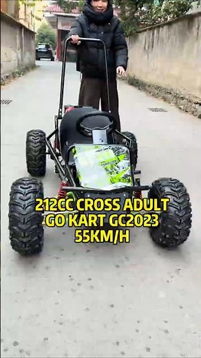 200cc off road go kart factory, one seat Dune Buggy, Adult all-terrain vehicle #gokart #buggy