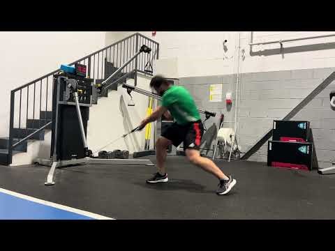 reactive standing cable row