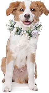 Honoson Dog Wedding Flower Collar Adjustable Artificial White Rose Floral Attire Wreath with Ribbon Photo Prop Accessories for Female Male Dog Engagement Bridal Shower(Small)
