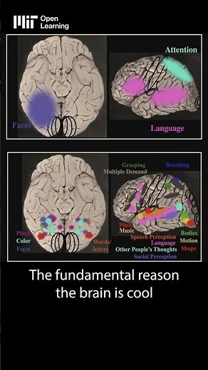 How does the brain give rise to the mind?
