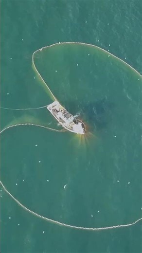 Internet Cables in Strait of Hormuz: 3 Shocking Facts You Didn't