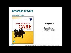 Ch 7 Pathophysiology BLS