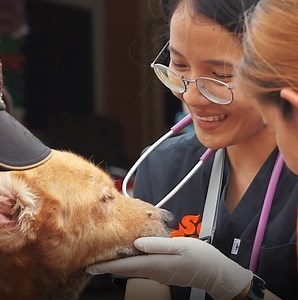 4.7K views · 734 reactions | Thanks to the support of people like...