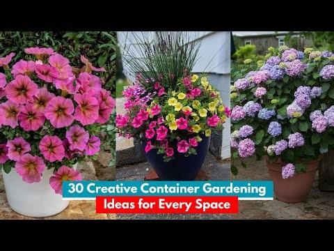 30 Container Gardening Ideas to Inspire, from Easy to Amazing