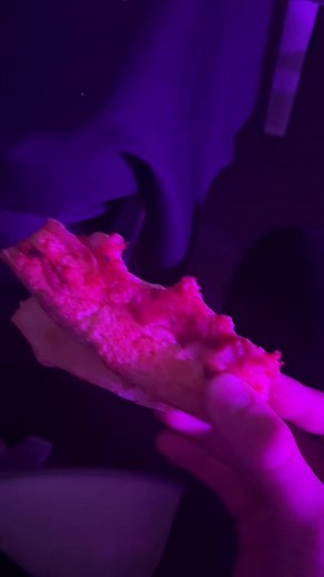 Videos de tico________ (@tico________) con “original sound - tico________”