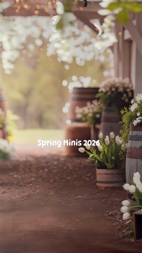 These may be the most beautiful spring minis I’ve ever offered! Click for full screen video 😍 | Crystal Allen Photography