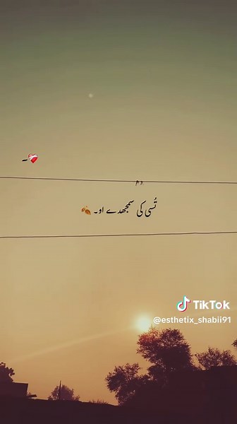 Chako Fir 💀💯🚩 . . . ##100k##aesthetic##poetrylover##fypシ##viralvideo