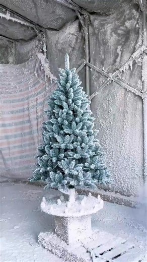 11M views · 31K reactions | Chinese factory directly #christmastree #christmastree #christmastreedecorating #christmastime #christmasmarket #christmasshopping #christmaspresents #christmasdecoration #christmassale #christmastrees #christmascountdown | Hedan.Factorysourcing | Facebook