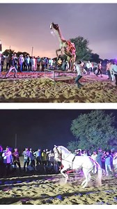 camel dance vs horse dance competition १ #cameldance #horsedance | Live india sabse fast