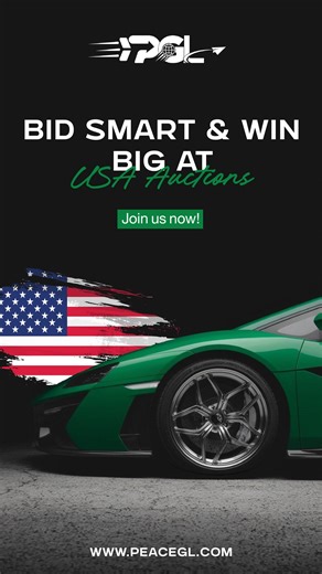 How to Bid & Win Cars at USA Auctions 📱 🚘 🌍 #carshipping #PGL #Cars #Loading #Towing #UAE #USA #shipping #worldwideshipping | Peace Global Logistics LLC
