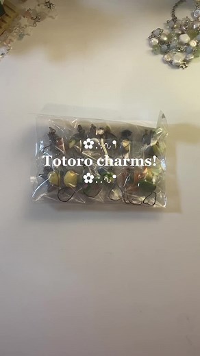 Totoro Cat Bus Keychain Haul and Charms from AliExpress