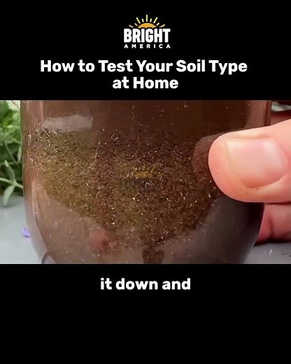 How to Test Your Soil Type at Home