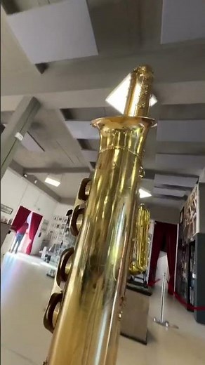 🇧🇷Ascenção do Sax Subcontrabaixo/🇺🇸Rise of the Subcontrabass Sax/🇮🇹L'ascesa del sax subcontrabbasso