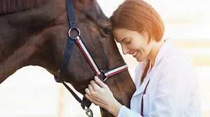 5K views · 238 reactions | Follow us to gain access to free, peer-reviewed CE content! | Today's Veterinary Practice | Facebook
