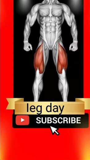 leg 🦵🦵 day is very fast grow and usefull exercise and experience set ❤️❤️