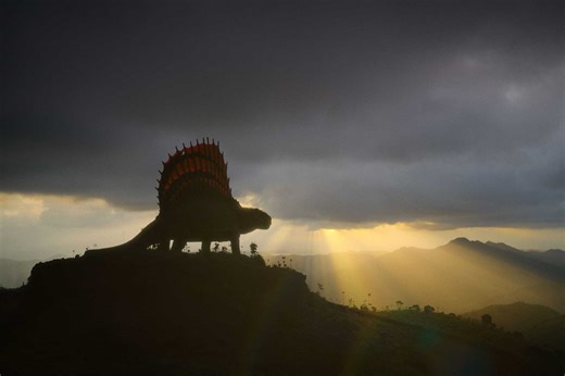 Surviving Earth's Summer 2026 Premiere Date on NBC Has Been Revealed (DETAILS)