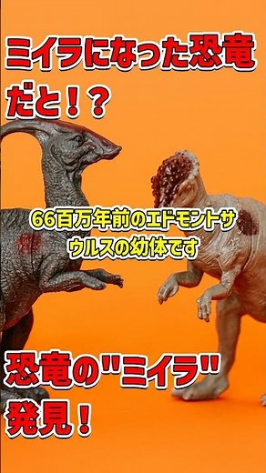 「世界初の恐竜『ミイラ』発見！ワイオミングの奇跡 #恐竜 #ミイラ化石 #古生物学」