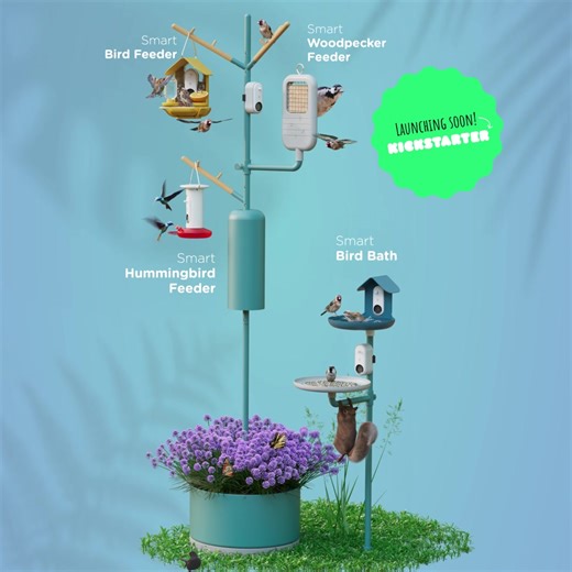 8.5K views · 88 reactions | Capture nature from all angles with the ultimate conservation and observation station!  Features multiple AI-powered, high-definition cameras  Captures candid shots of wildlife playing, feeding, and bathing  Supports local biodiversity with key resources Create your collection of favorite shots and share it with friends and family to spread the joy of nature! | Birdbuddy | Facebook