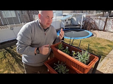 Great way to grow herbs and flowers | Review for Funci 4 foot vertical planter box