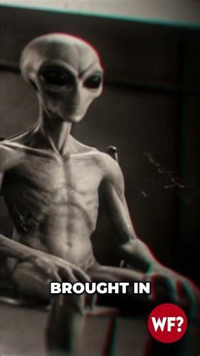 1947 Roswell UFO Documents: EXPOSING ALIEN INTERVIEW SECRETS! #shorts