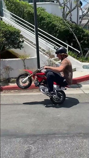 Honda crf50 wheelies #hondacrf #crf50 #pitbike #wheelie