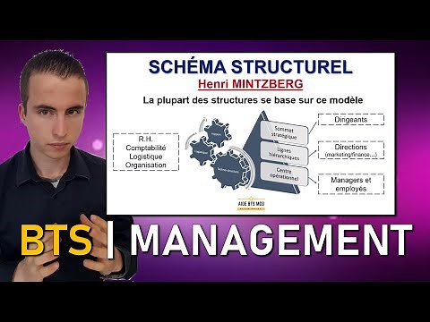 Révisions MANAGEMENT #13 - Les types de structures | AIDE BTS MUC | BTS MCO