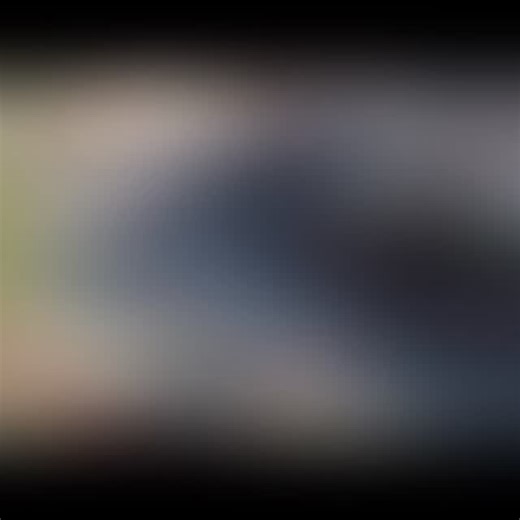 🎄 Placerville Christmas Parade Fun! 🎄 We had an amazing time participating in the Placerville Christmas Parade this past Sunday, the 7th! Thank you to Placerville Downtown for welcoming us into such a wonderful community event. It was a perfect day spent celebrating the holiday season with our CHP family, friends, and everyone who came out to support the parade. A big thank you to the CHP Museum for joining us and showcasing their historic Dodge and Buick patrol cars — it was a treat to see CH