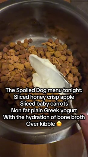 Delicious Homemade Dog Dinner Recipes