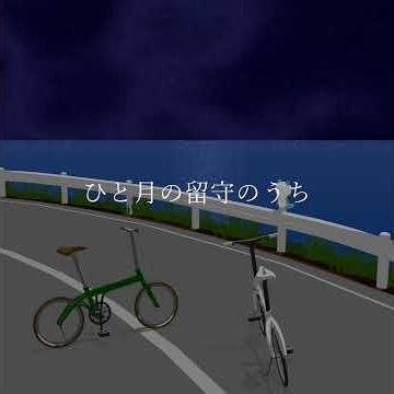 Stolen Bicycle 2