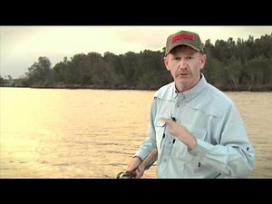 How to use - Rapala - DT (Dives To)