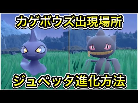 【ポケモンSV】カゲボウズの出現場所！ジュペッタへの進化方法を解説