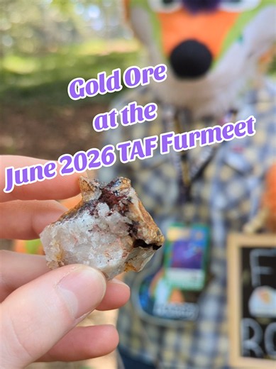 Gold ore from Portis Gold Mine — June 2026 Triangle Area Furmeet