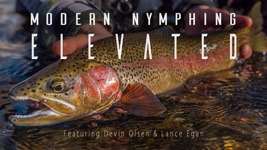 Modern Nymphing Elevated - Beyond the Basics