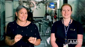 1.7K views · 85 reactions | Learn how to sign 'Hello! How are you?' and a few phrases for your visit to the Museum in this video to mark New Zealand Sign Language Week. 紐 This year coinciding with International Week of the Deaf and the United Nations International Day of Sign Languages (23 September). | Auckland Museum | Facebook