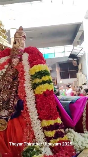 Sri Alarmelmangai Thayar towards Golden Thiruther for Panchami Theertha Utsavam(25.11.2025)SVDD