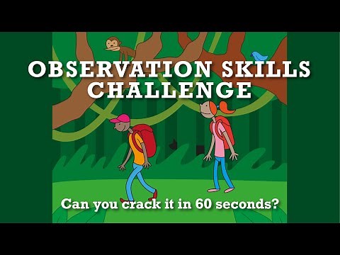 Observation Skills Challenge