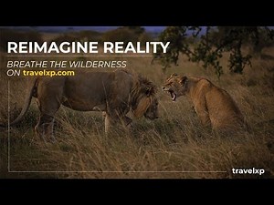 Watch Travelxp now on your Android TV | 4K | Travelxp RED