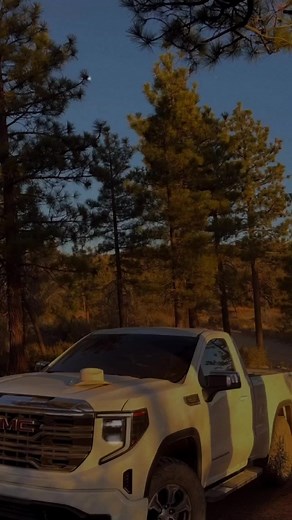 Cuentas recomendadas