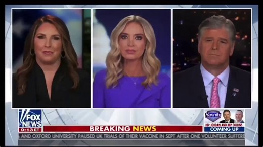 Why are the overthrowers of your government in a panic?Right here Wayne County, Michigan—234 pages of sworn affidavits. • Batch of ballots where 60% had the same exact signature. • Ballots had no voter record but counted anyway. • Ballots run multiple times through the tabulation machine. What, exactly, is wrong with simply reviewing the voted ballots?