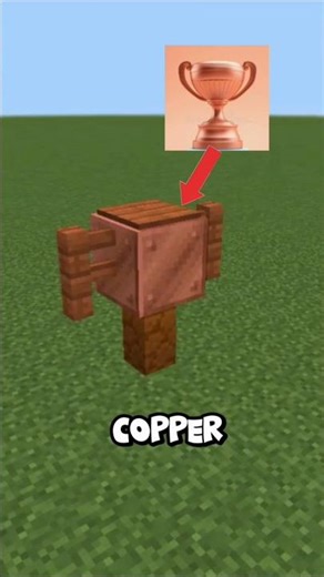 a copper trophy 🥉