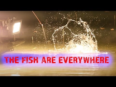 160 Watt Southern lite LED Bowfishing lights