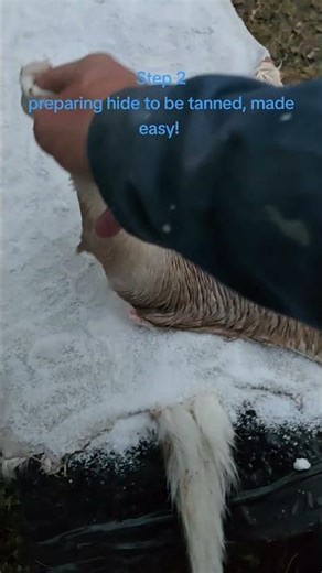 Work smarter, not harder! #hidetanning #DIYtanninghide #whydidntithinkofthat #howtouse #tanninghides