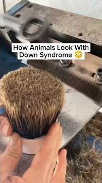 How animals look with Down syndrome 😳🙆🏻 #shorts #downsyndrome #animals