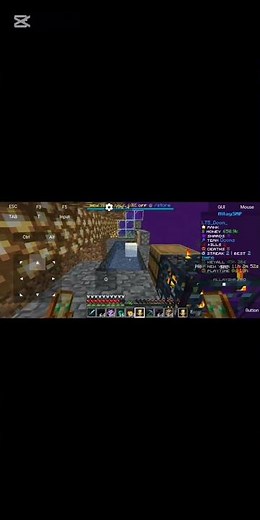 Allay Smp Best Minecraft Server