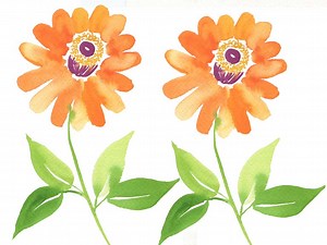 How to Paint Zinnia Flowers in Watercolour - Easy Steps | Emily Wassell