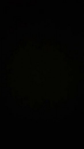 Baby shark on a violin🎻🦈