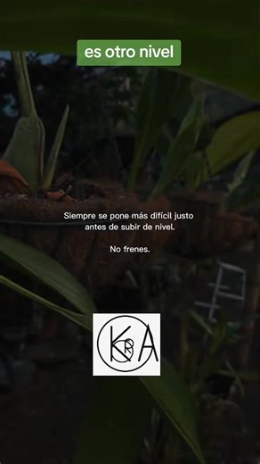 #superacion #quemasesposible #comopuedomejorar #fitness #motivacion