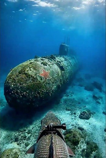 Predatory Fish with a GoPro Explores a Sunken Soviet Submarine #GoProPOV #SunkenSubmarine